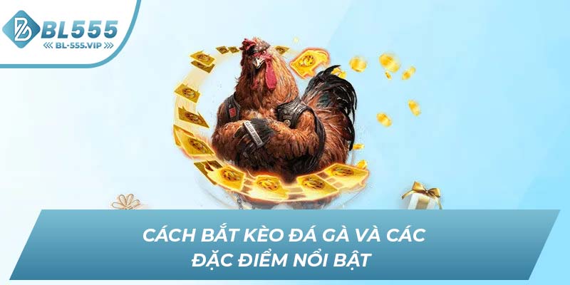 Cách bắt kèo đá gà và các đặc điểm nổi bật