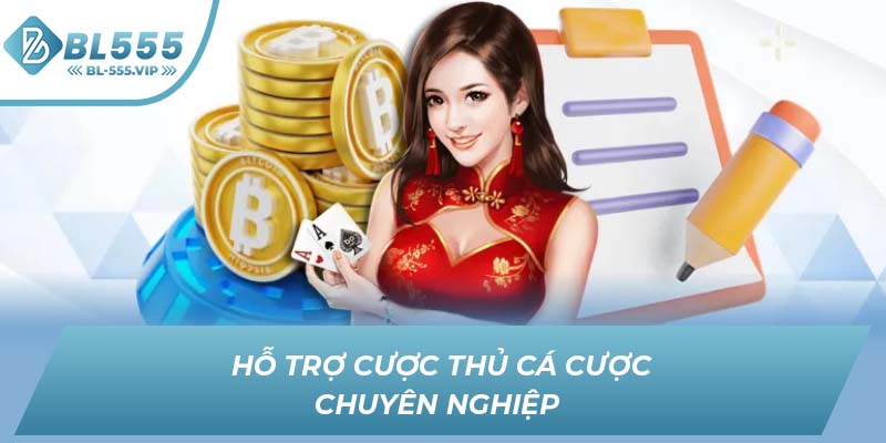 Hỗ trợ cược thủ cá cược chuyên nghiệp